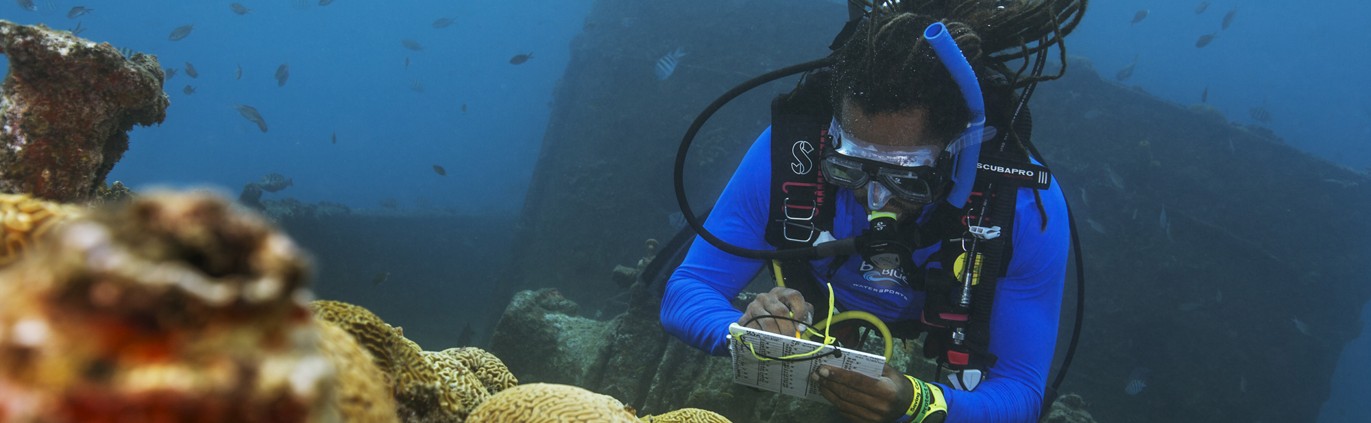 PADI Divemaster Course - Amed White Sand Divers - Dive Center in Bali