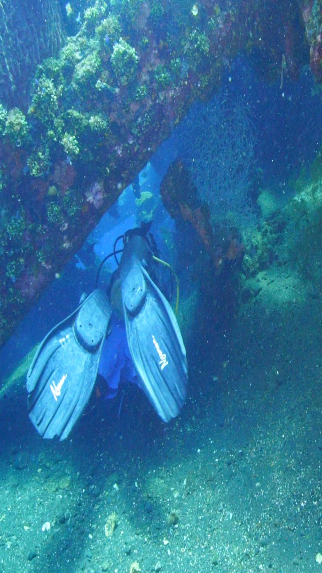 Liberty Wreck Swimming-throughs