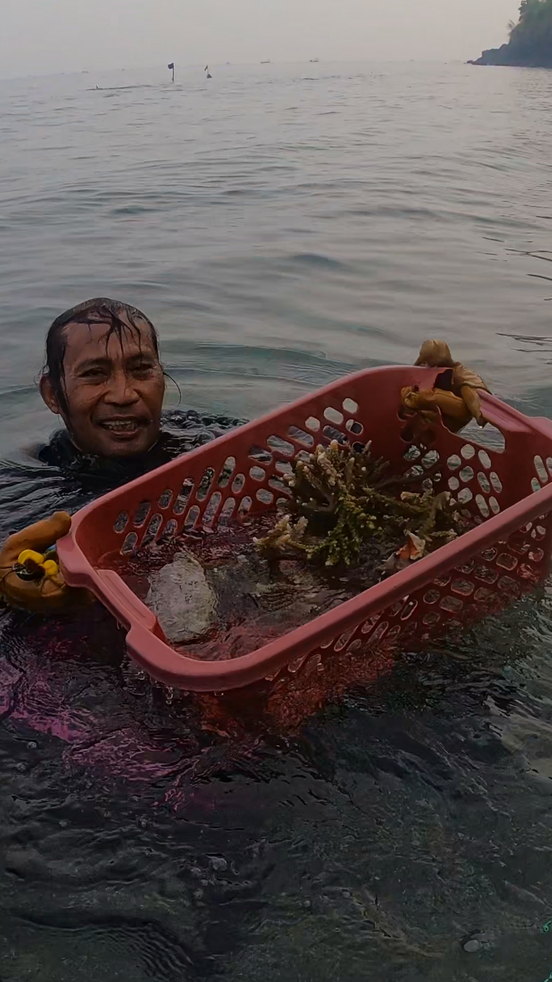 Coral conservation