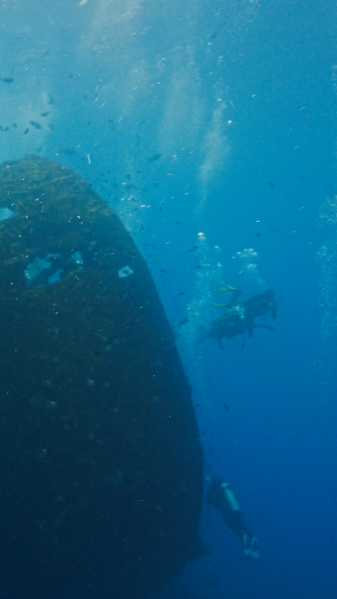 Liberty Wreck