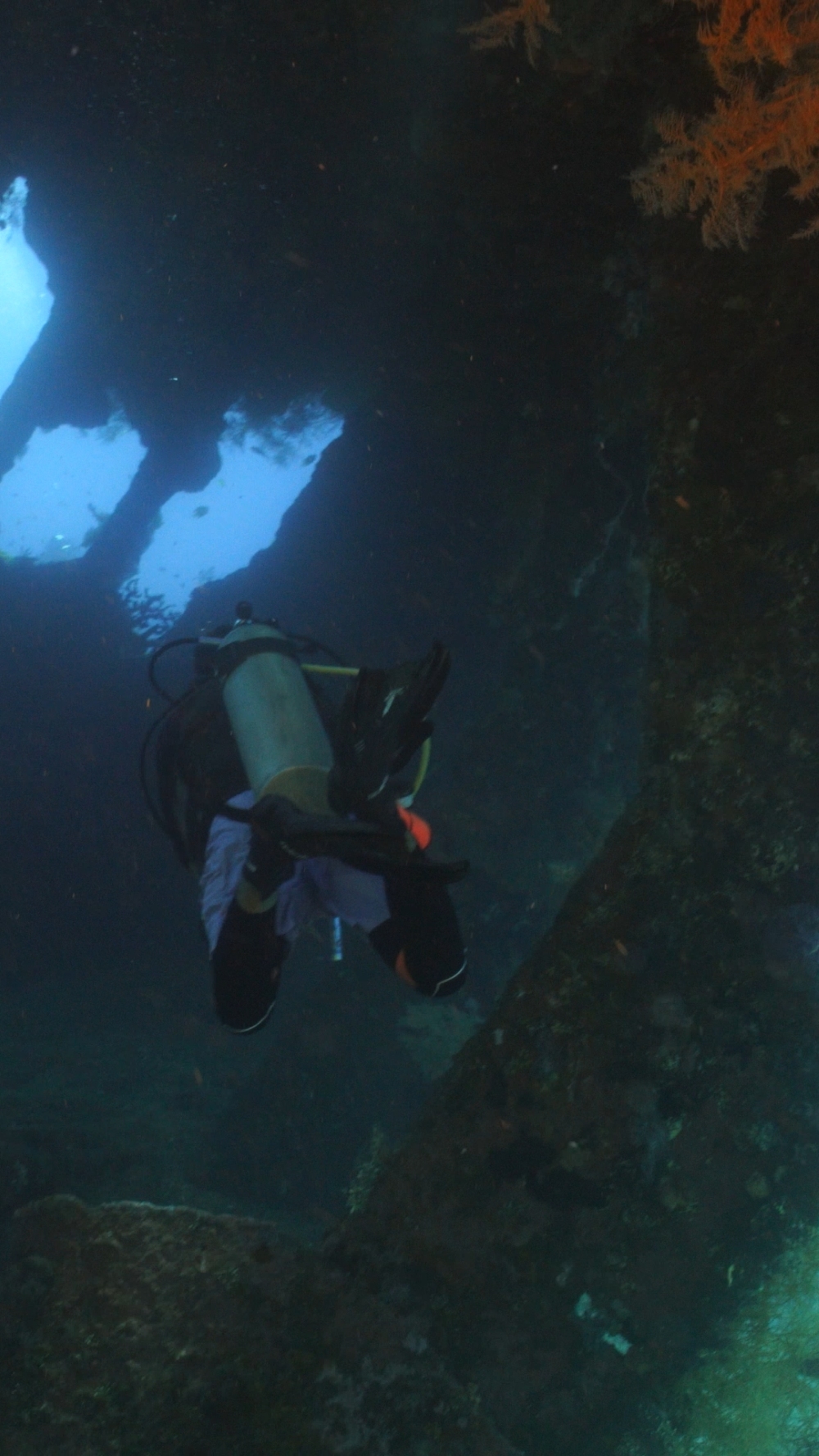 Cargo hold Liberty wreck