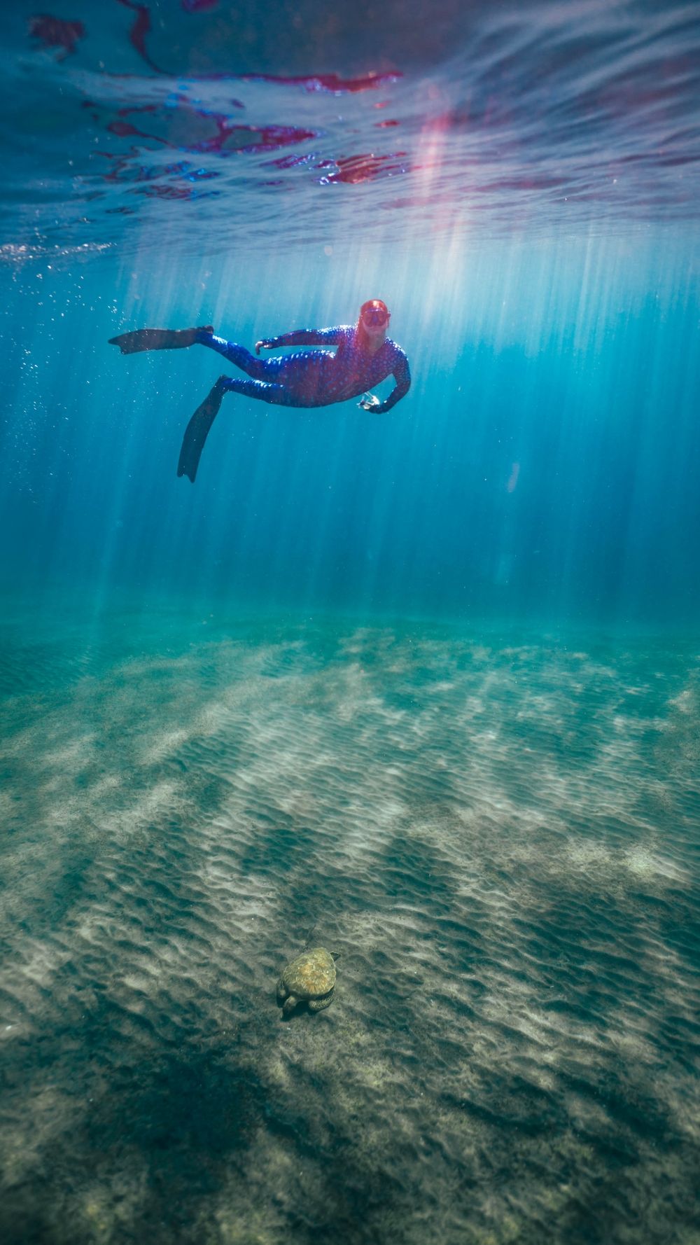 Snorkelling Specialist