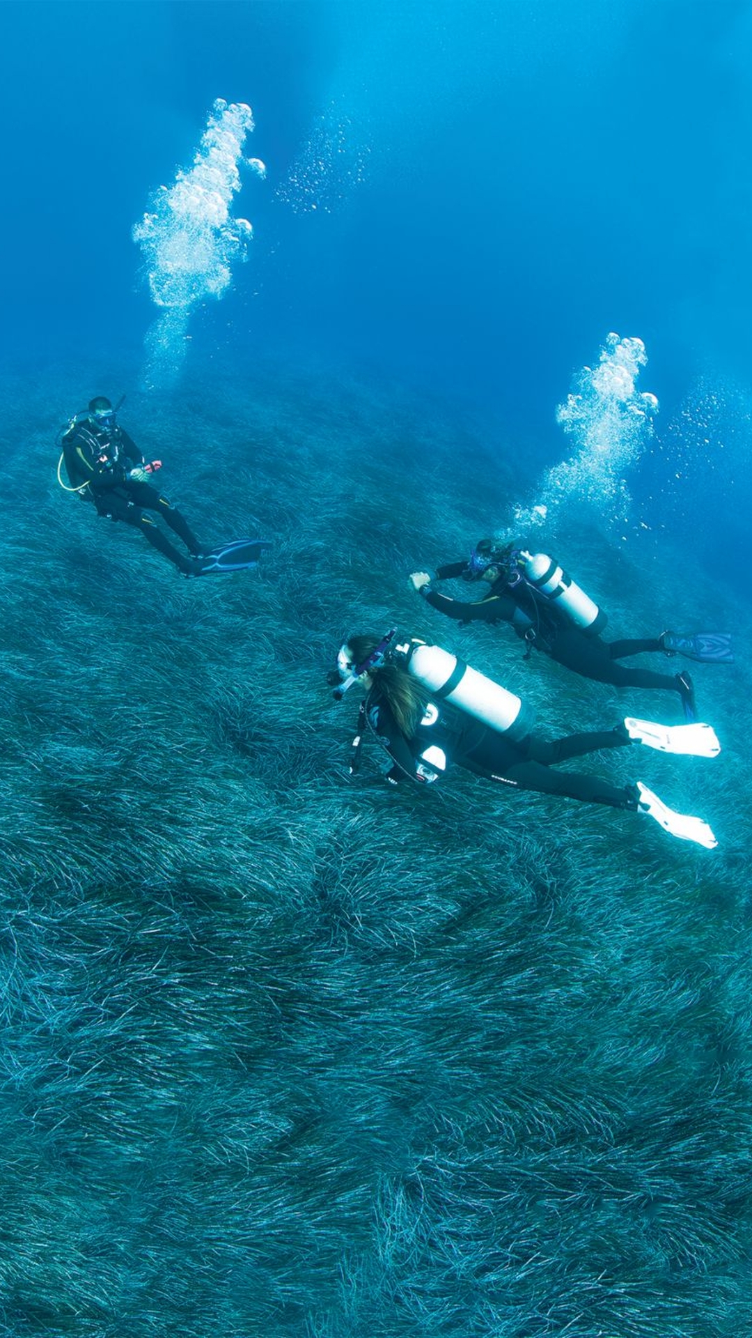 Dive Master PADI